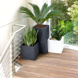 CUBE-cubo-interno-esterno-porta-pianta