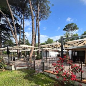 LASV-2-bracci-in alluminio